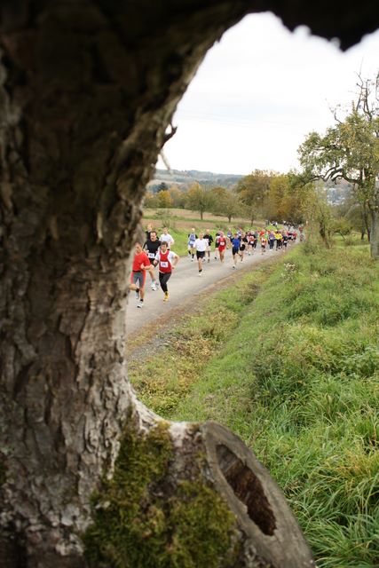 img_5366.jpg img_5366.jpg