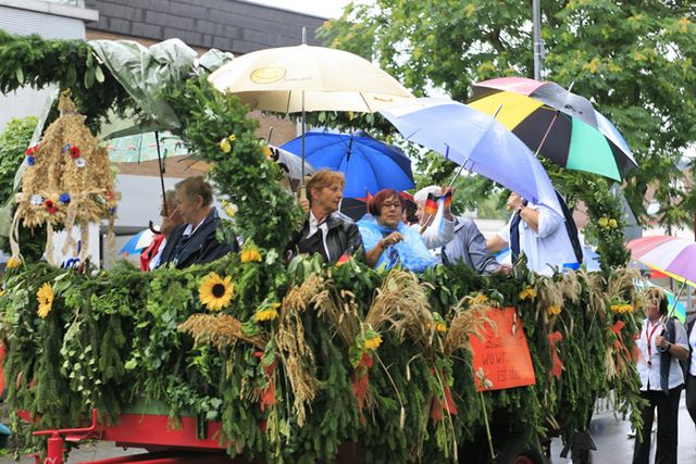 festzug_093.jpg festzug_093.jpg