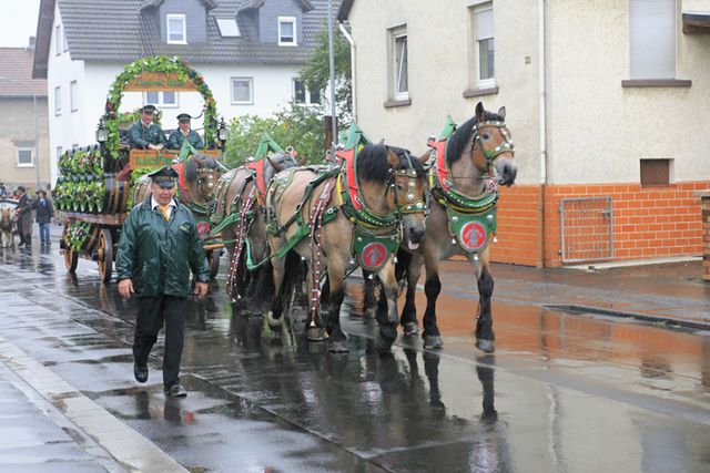 festzug_243.jpg festzug_243.jpg