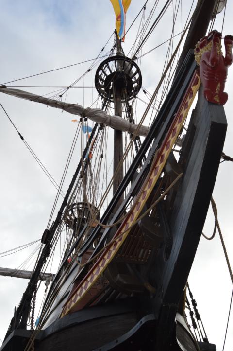 DSC_0316.JPG DSC_0316.JPG