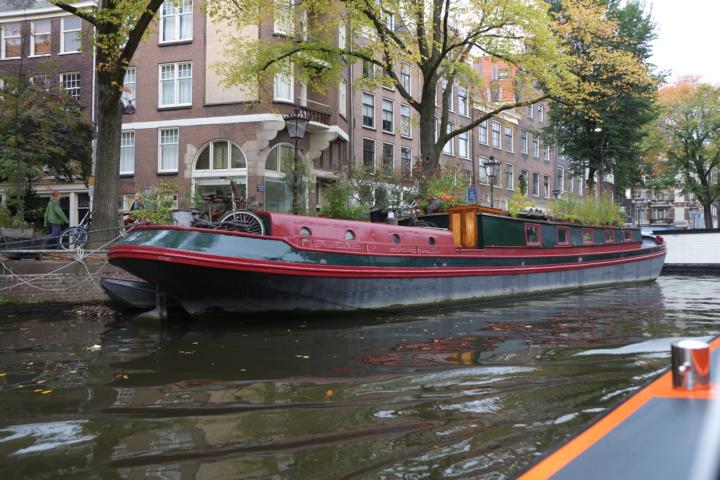 DSCF4686.JPG DSCF4686.JPG