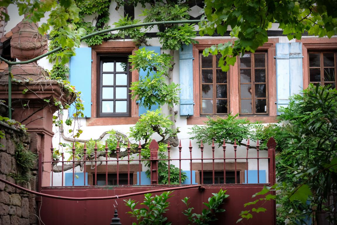 DSCF0770.JPG DSCF0770.JPG