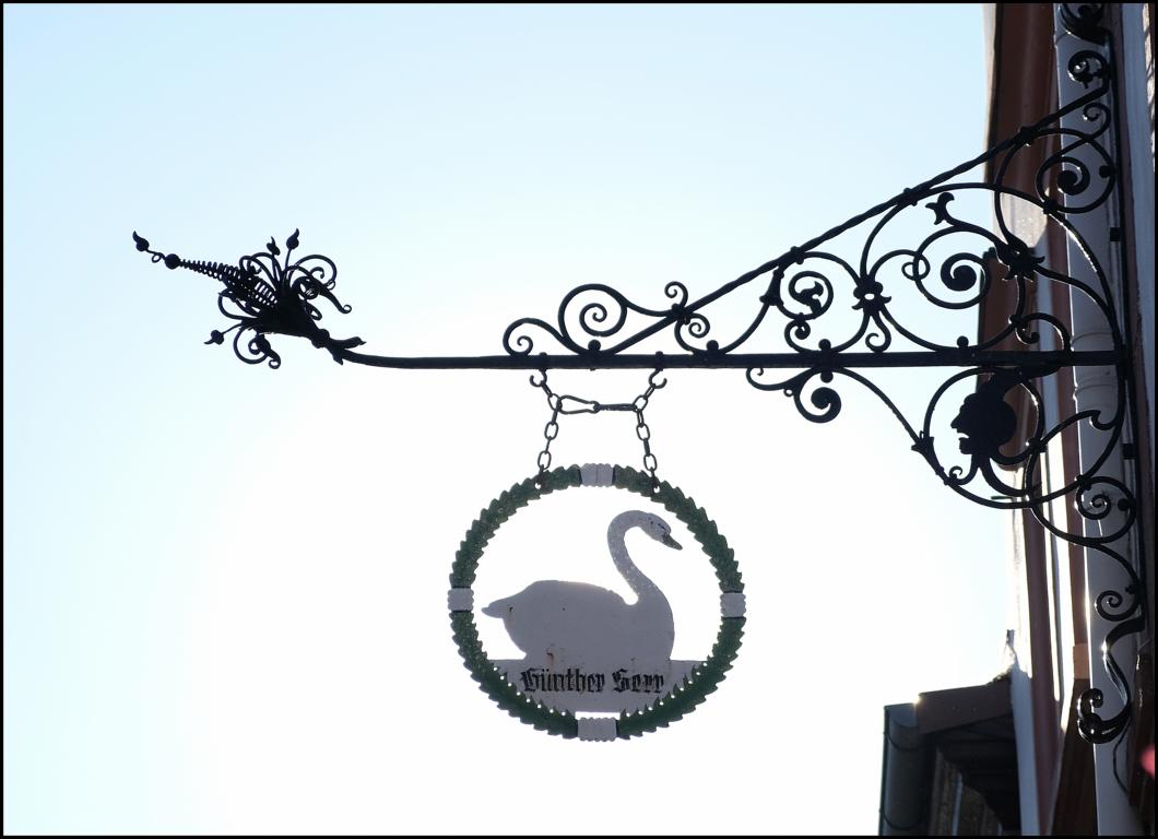 DSCF0808.JPG DSCF0808.JPG