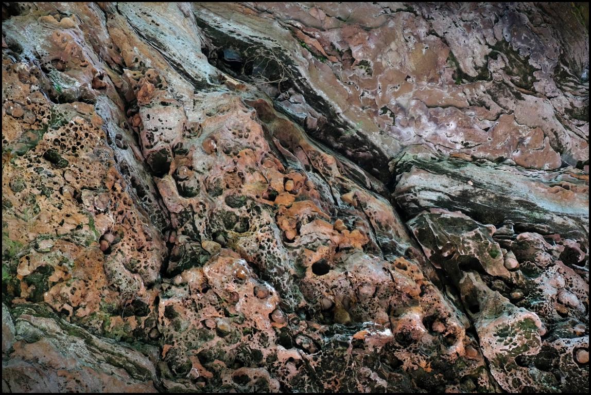 DSCF0863.JPG DSCF0863.JPG