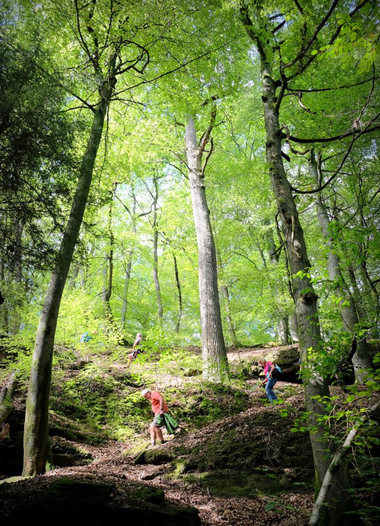 DSCF0873.JPG DSCF0873.JPG