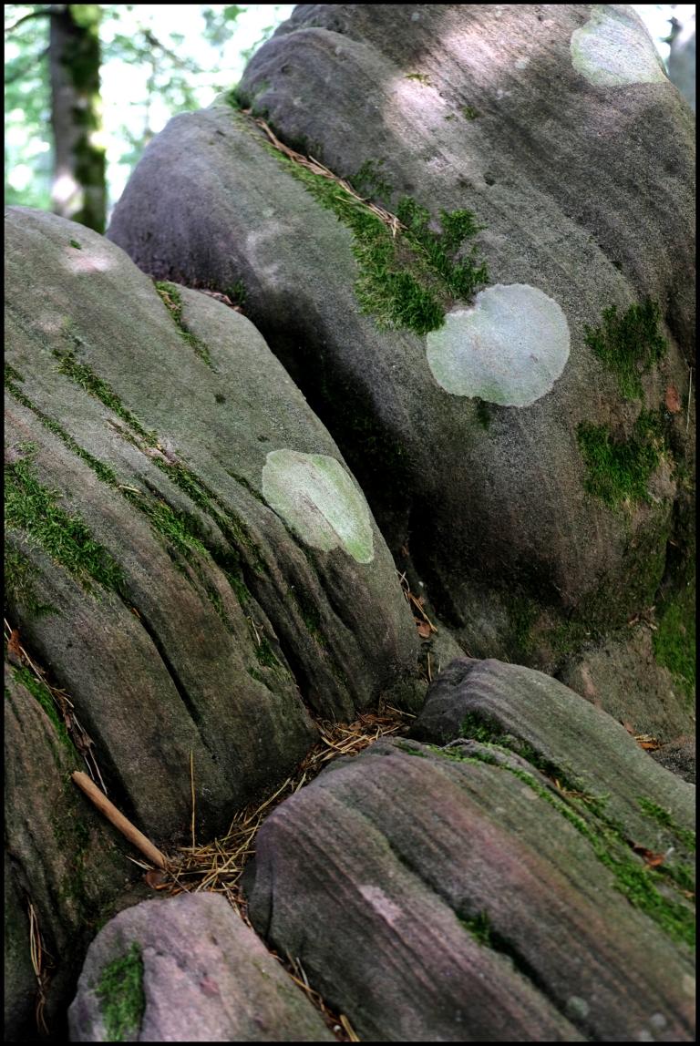 DSCF0882.JPG DSCF0882.JPG