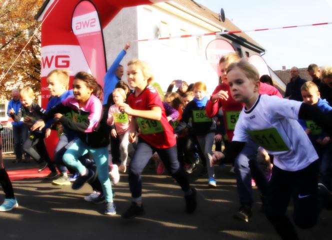 _MG_4209.JPG _MG_4209.JPG