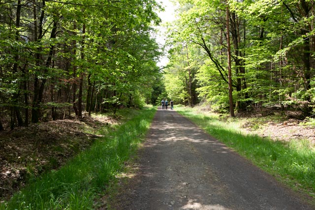 L1000026.jpg L1000026.jpg