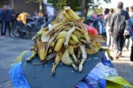 DSC_0187.JPG
