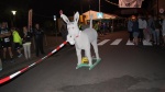 K1600_DSC09579.JPG