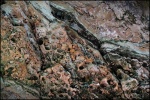DSCF0863.JPG
